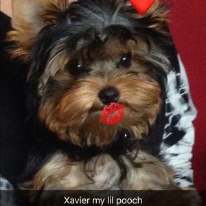 Meet your Posher, Karry